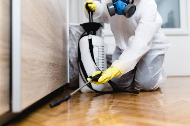 Best Affordable Pest Control Services  in Bradenton, FL