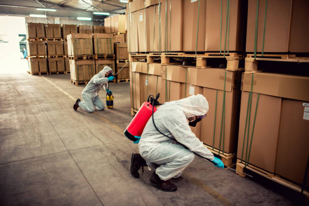 Best Flea Control Services  in Bradenton, FL