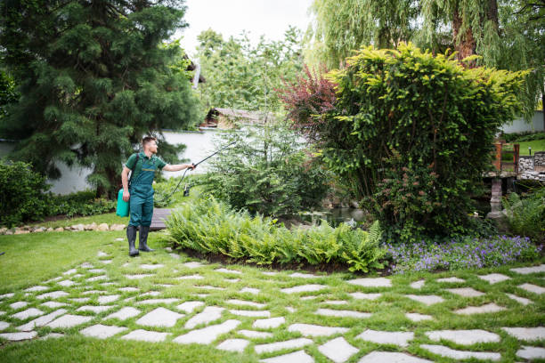 Best Affordable Pest Control Services  in Bradenton, FL