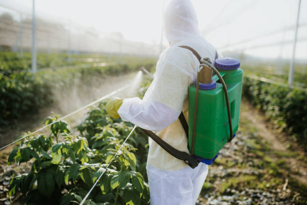 Reliable Bradenton, FL Pest Control Solutions